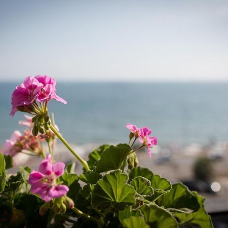 Salsedine Sea View Bed & Breakfast Salerno Eksteriør bilde